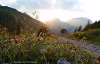 2015-08-11_Lamsenjoch (138)b.JPG